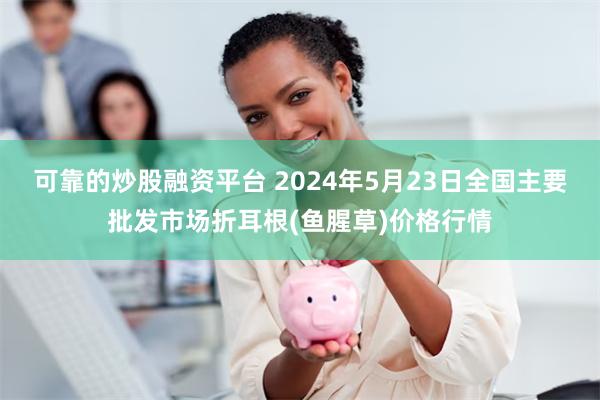 可靠的炒股融资平台 2024年5月23日全国主要批发市场折耳根(鱼腥草)价格行情