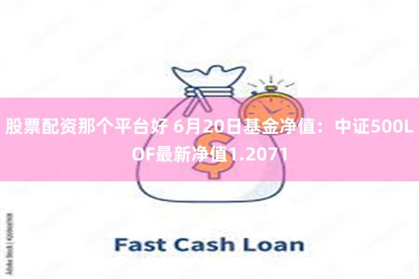 股票配资那个平台好 6月20日基金净值：中证500LOF最新净值1.2071