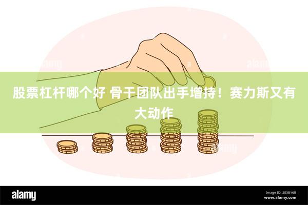 股票杠杆哪个好 骨干团队出手增持！赛力斯又有大动作