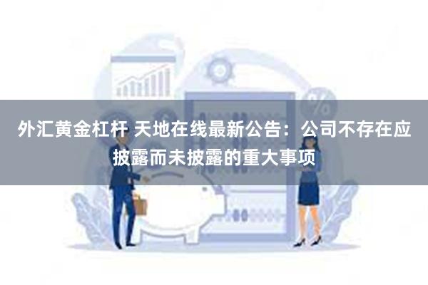 外汇黄金杠杆 天地在线最新公告：公司不存在应披露而未披露的重大事项