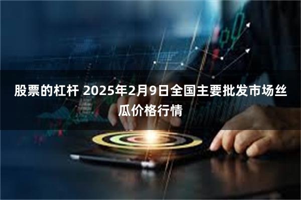 股票的杠杆 2025年2月9日全国主要批发市场丝瓜价格行情