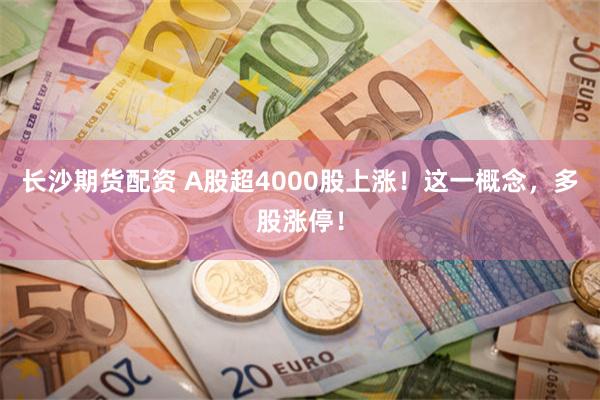 长沙期货配资 A股超4000股上涨！这一概念，多股涨停！