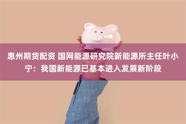 惠州期货配资 国网能源研究院新能源所主任叶小宁：我国新能源已基本进入发展新阶段