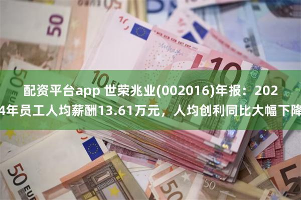 配资平台app 世荣兆业(002016)年报：2024年员工人均薪酬13.61万元，人均创利同比大幅下降