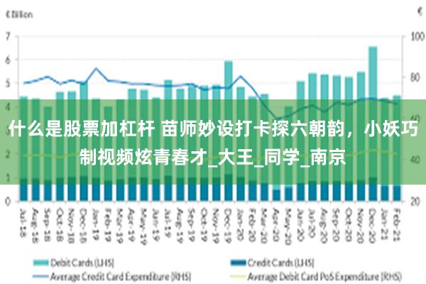 什么是股票加杠杆 苗师妙设打卡探六朝韵，小妖巧制视频炫青春才_大王_同学_南京