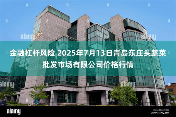 金融杠杆风险 2025年7月13日青岛东庄头蔬菜批发市场有限公司价格行情