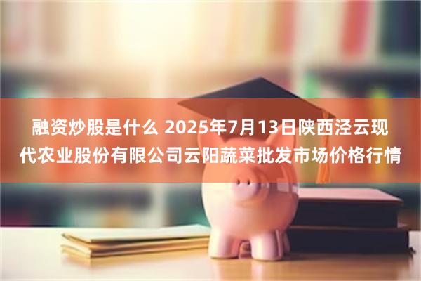 融资炒股是什么 2025年7月13日陕西泾云现代农业股份有限公司云阳蔬菜批发市场价格行情