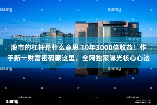 股市的杠杆是什么意思 10年3000倍收益！作手新一财富密码藏这里，全网独家曝光核心心法
