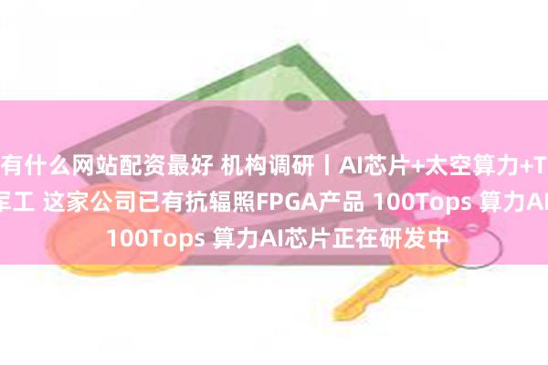 有什么网站配资最好 机构调研丨AI芯片+太空算力+TSN+脑机接口+军工 这家公司已有抗辐照FPGA产品 100Tops 算力AI芯片正在研发中
